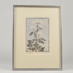 1774&nbsp;6101&nbsp;Träsnitt